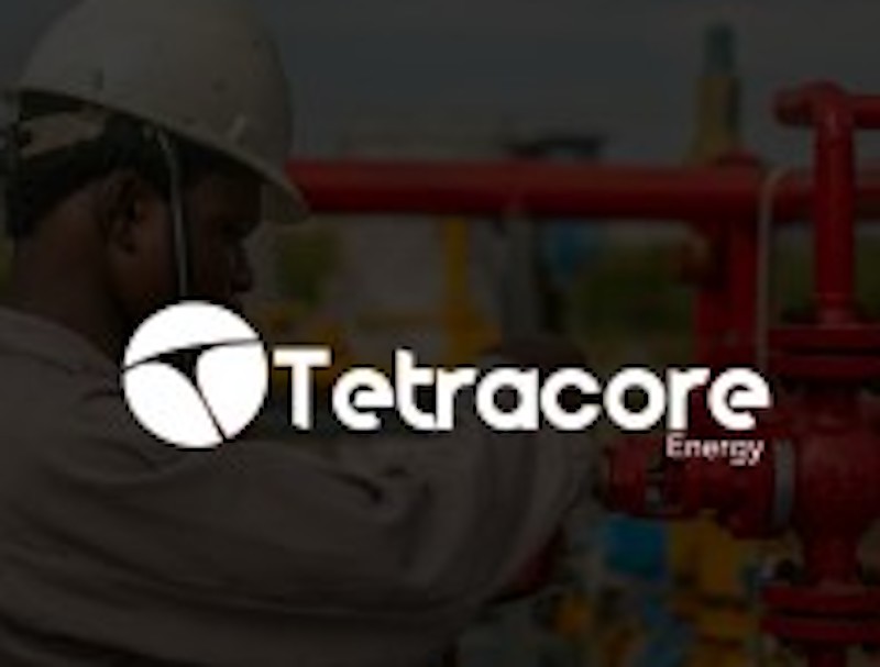 CNG: Tetracore Collaborates with Dangote Cement on Adequate Supply in Country - THISDAY Newspapers