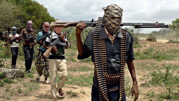 New Terrorist Group Kills 15 in Fresh Attack in Kebbi - THISDAY Newspapers